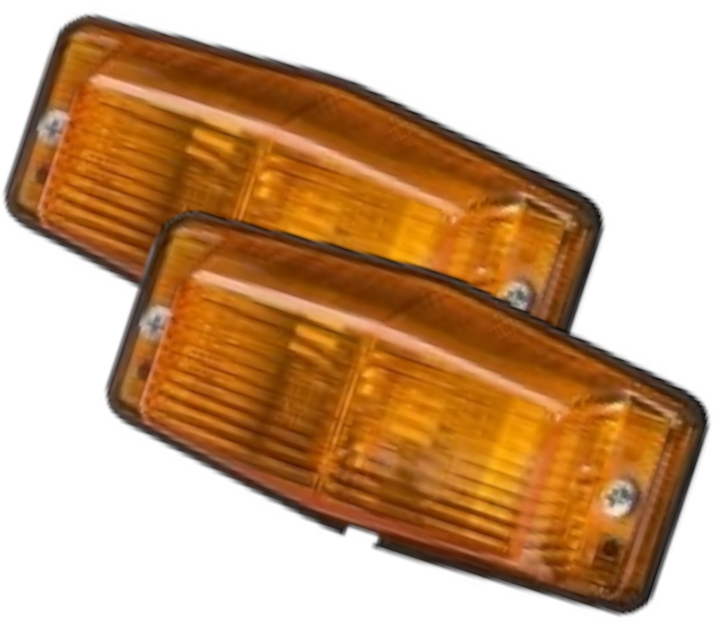 Double Ampoule Orange X2